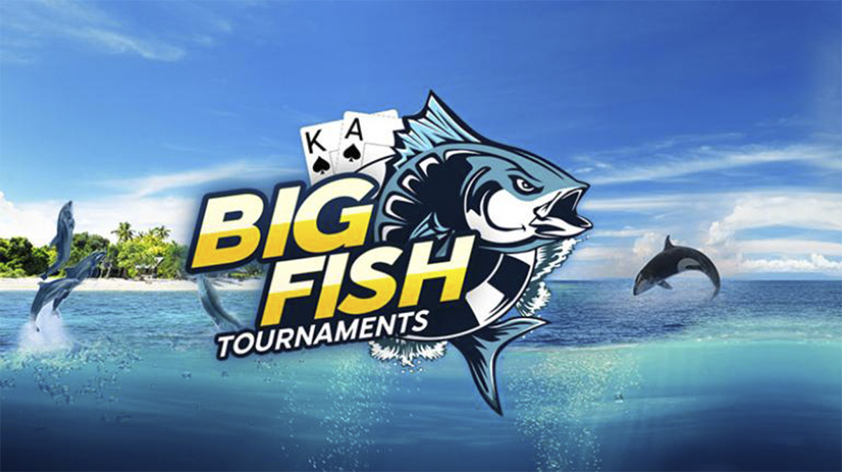 conoce-las-nuevas-daily-big-fish-series